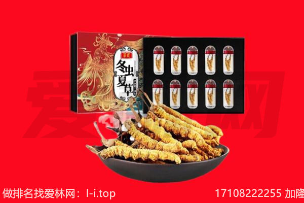 哈尔滨尚志回收虫草.jpg